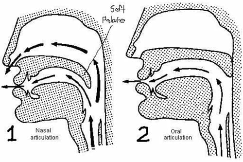 How To Be A Better Singer Male How To Be A Better Singer Male