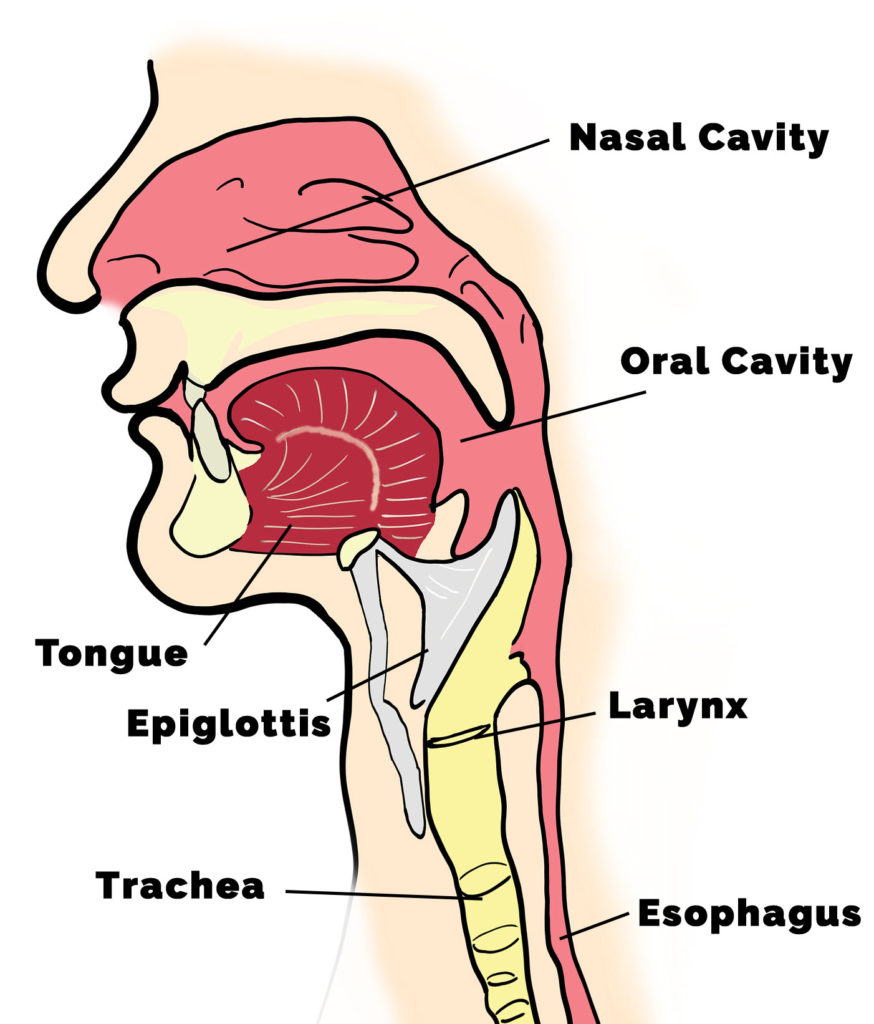 How To Be A Good Singer For Beginners