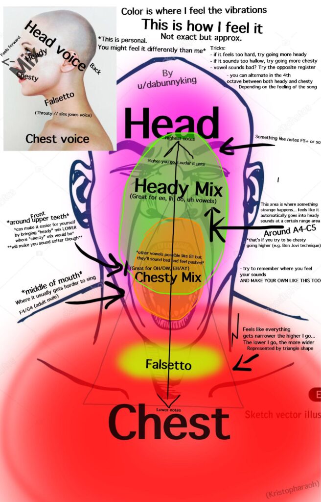 How To Improve Singing Reddit How To Improve Singing Reddit