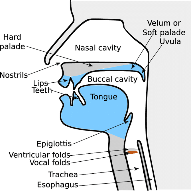 How To Improve Voice Tone