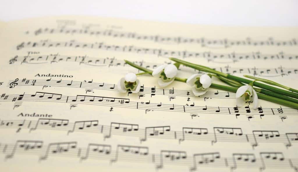 Becoming a Great Singer: A Step-by-Step Guide