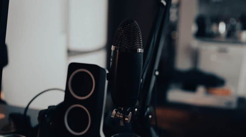 Photo Microphone stand