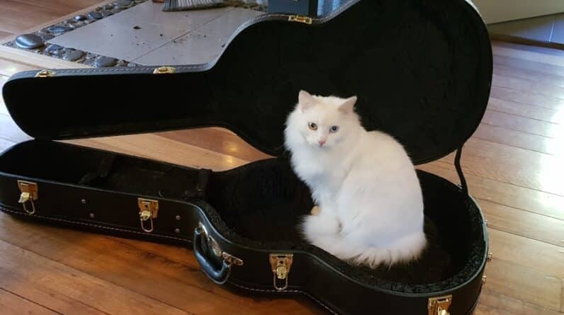 Photo "Can You Become a Good Singer"