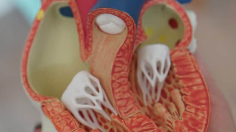 Photo How Do You Use Your Diaphragm to Sing