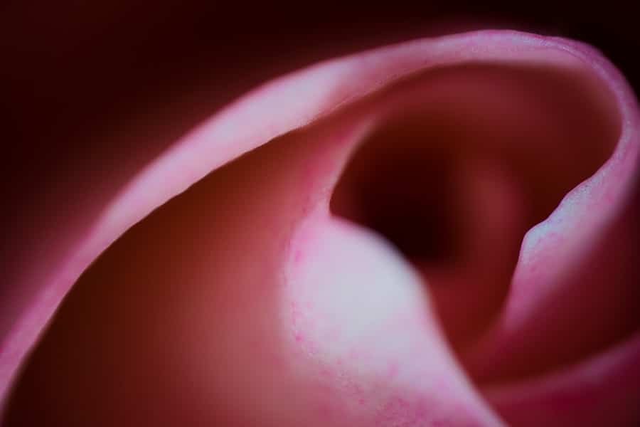 Photo "How to Engage Your Diaphragm While Singing"