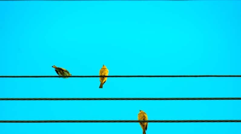 Photo "How to Hit Higher Notes While Singing"