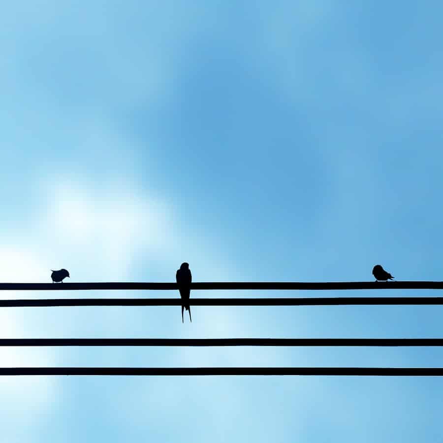 Photo "How to Learn to Sing Higher"