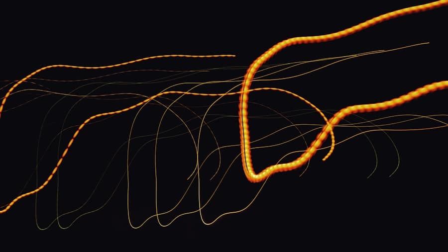 Visualization Exercise