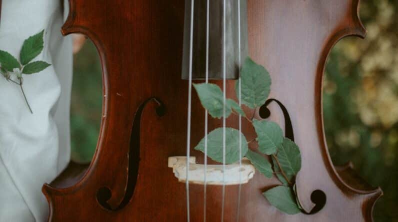 Photo Harmony practice