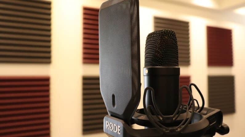 Photo Microphone stand