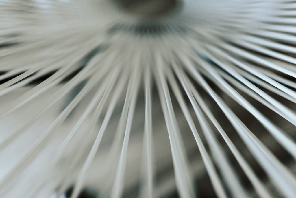 Photo Humidifier