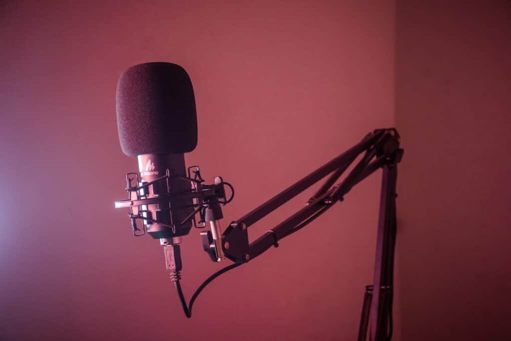 Photo Microphone stand