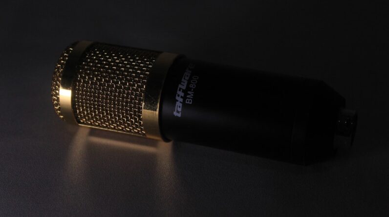 Photo Enchanted microphone