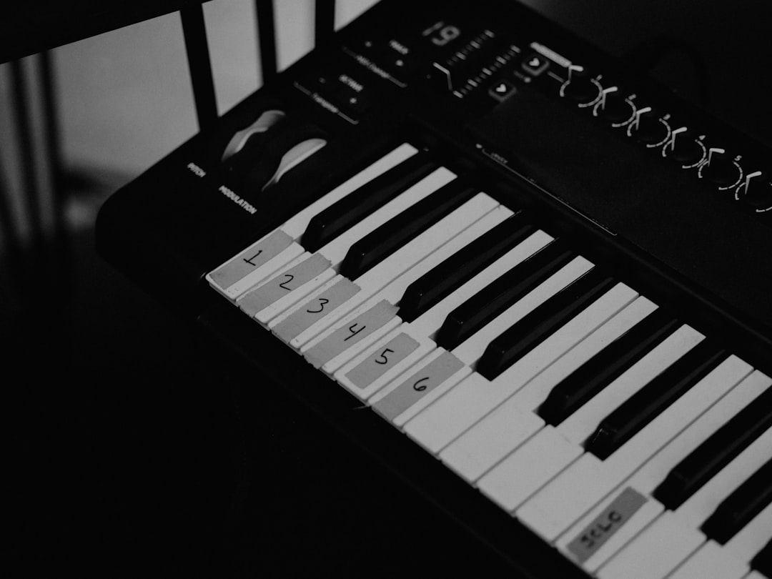 Photo Hybrid Music Program