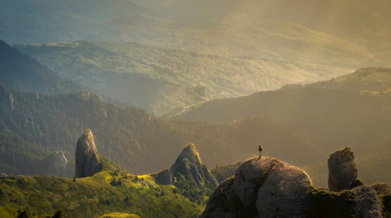 Photo Singing Competitions Chandler Az Preparation