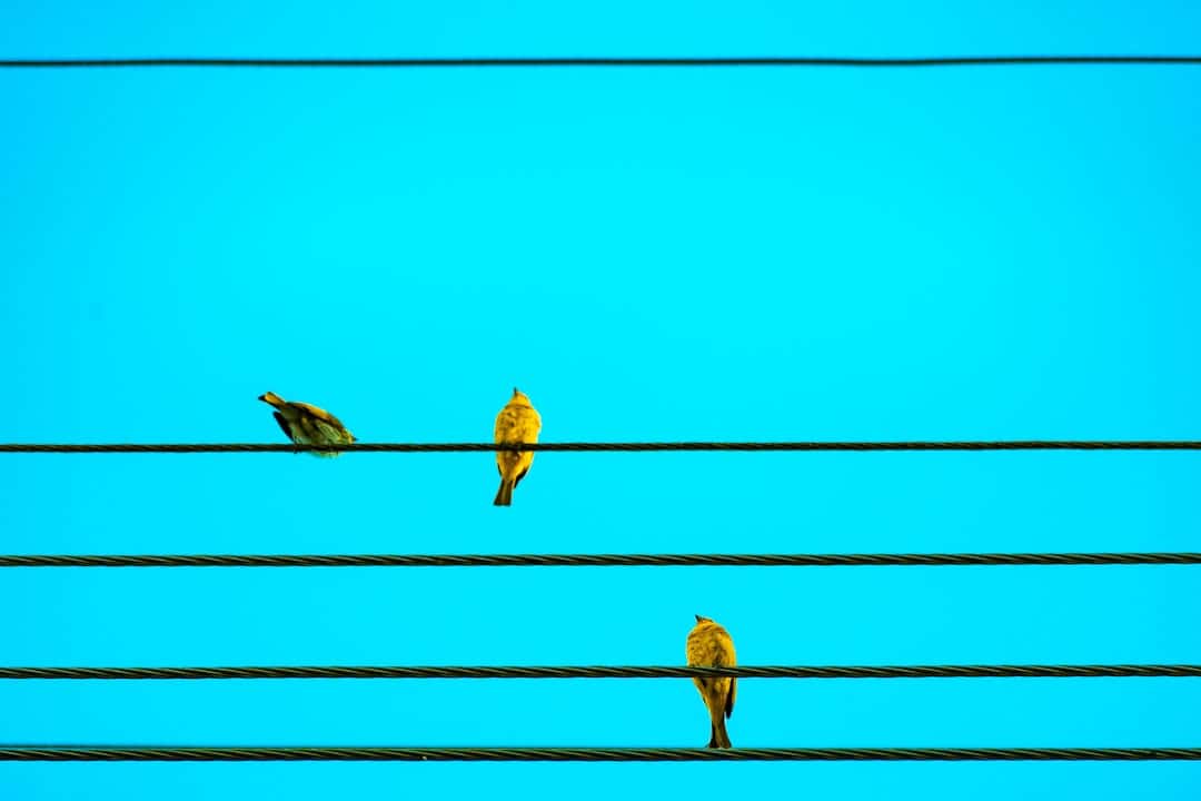 Photo Singing Classes