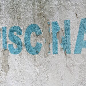 Photo Music and Voice School