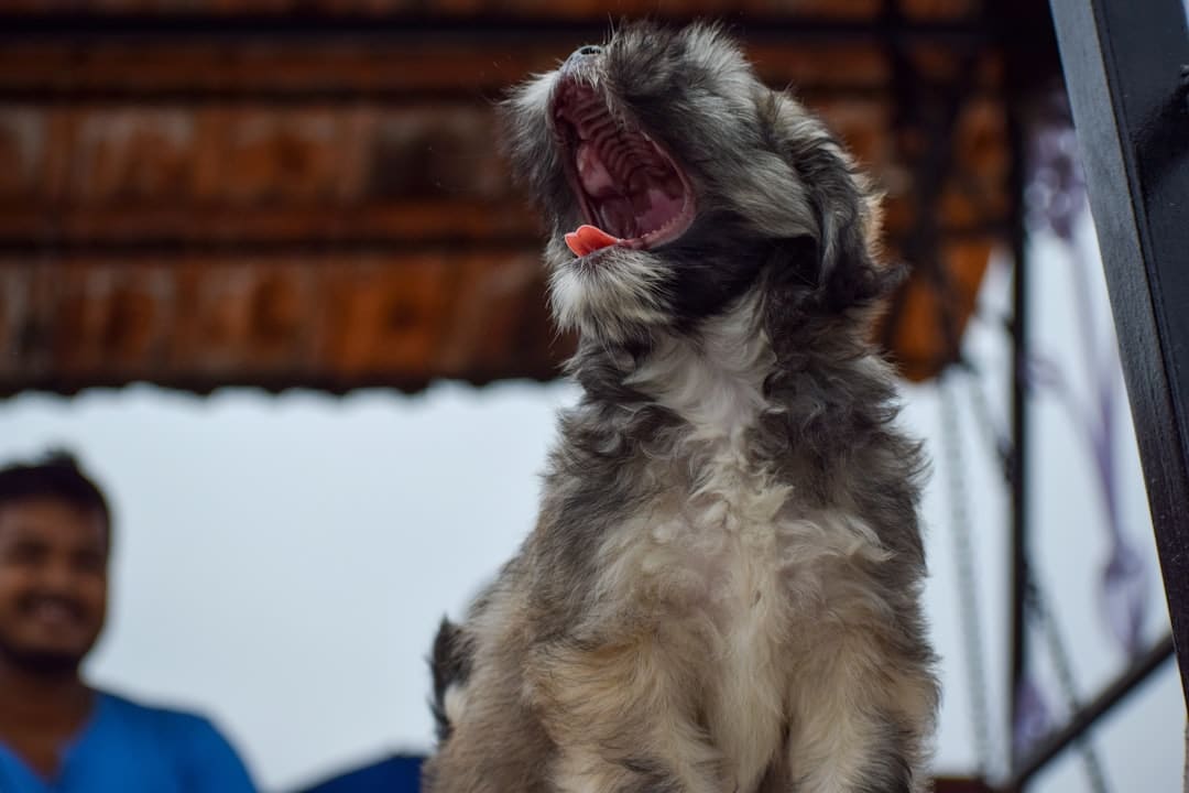 Photo Singing Training