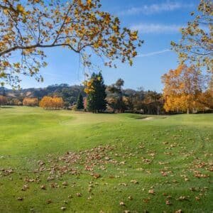 Photo Singing Lessons Allen Tx