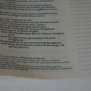 Photo Secondary Pillar Keyword 5